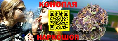 сатива Коммунар