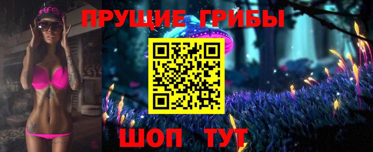 Галлюциногенные грибы прущие грибы Кингисепп